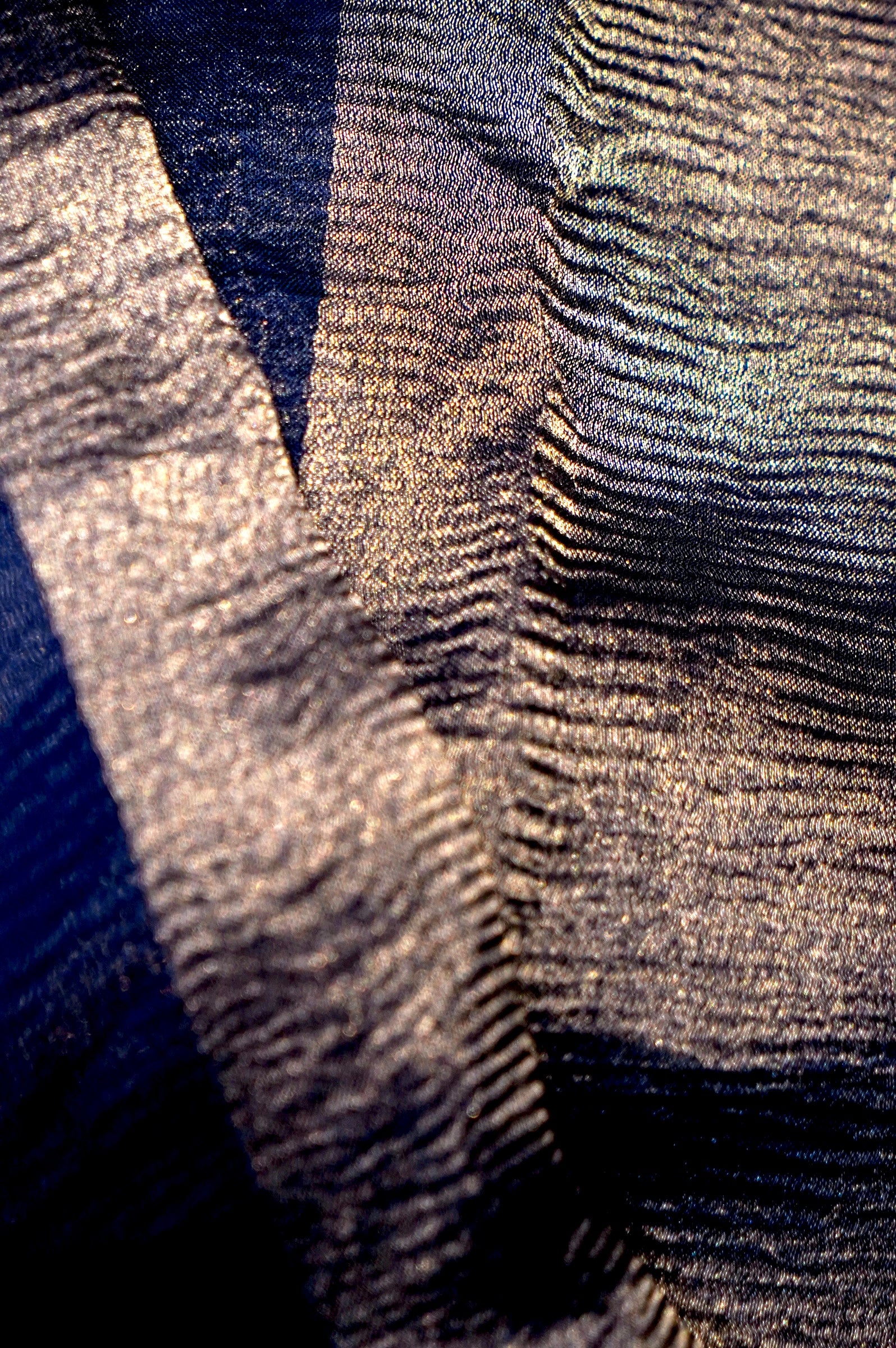 Handwoven Navy Blue Designer Organza Saree