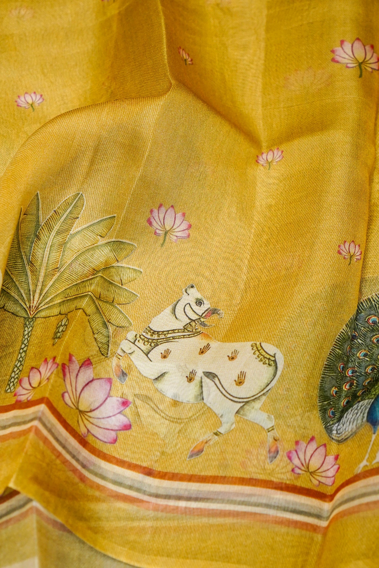 Designer Yellow Organza Suit