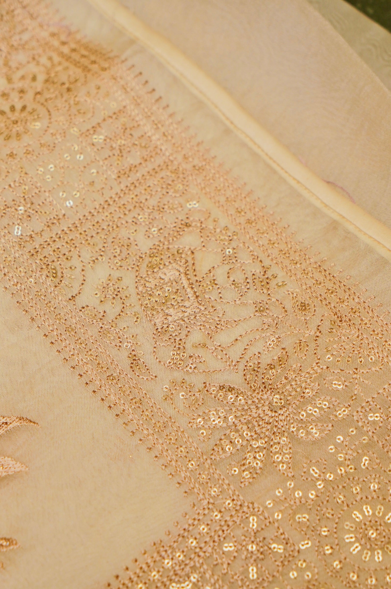 Designer Beige Organza Saree