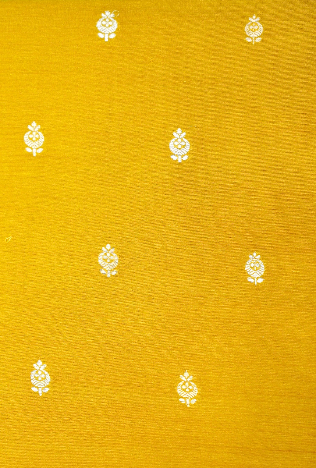 Designer Mustard Yellow Moonga Silk Suit