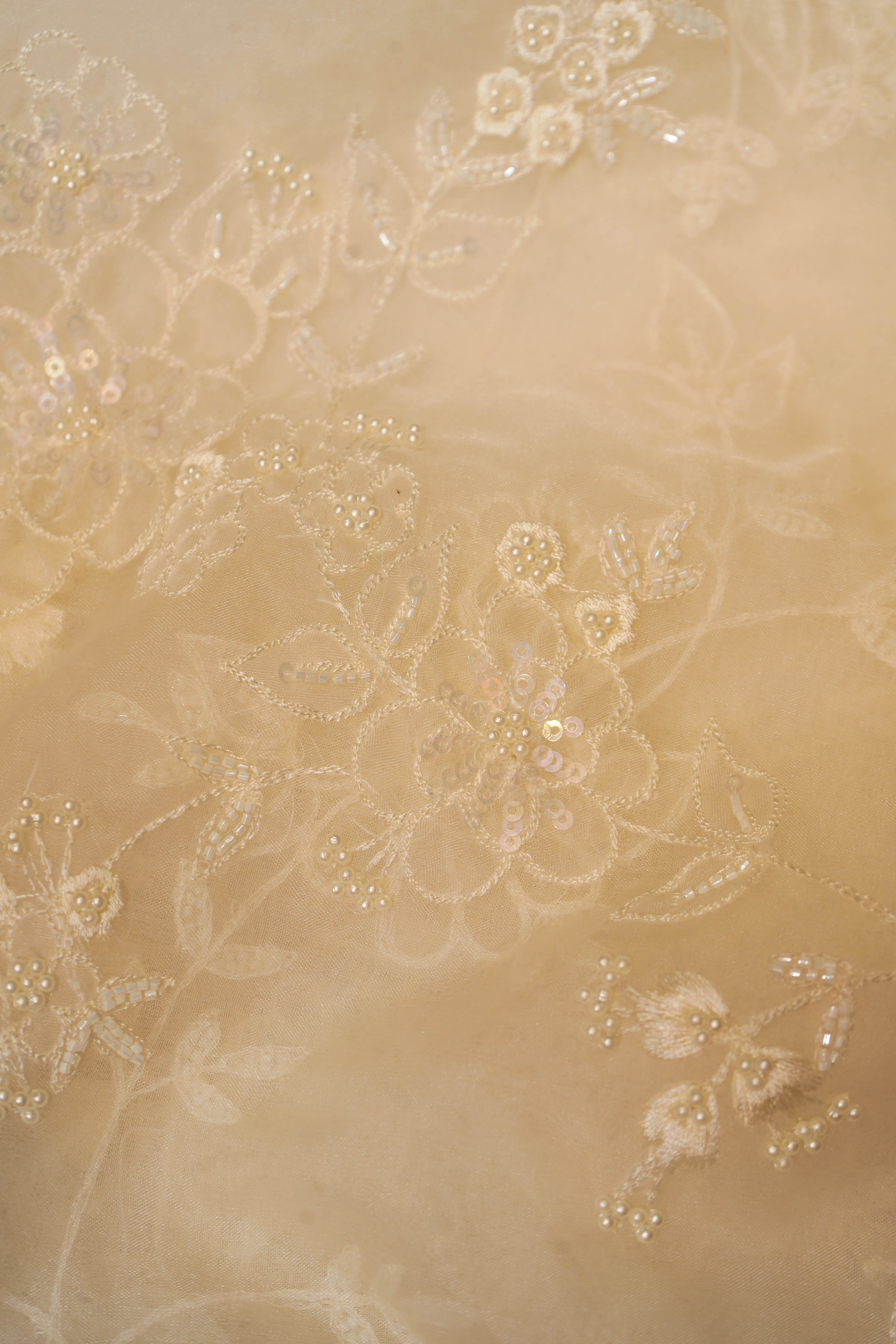 Designer Cream Organza Saree