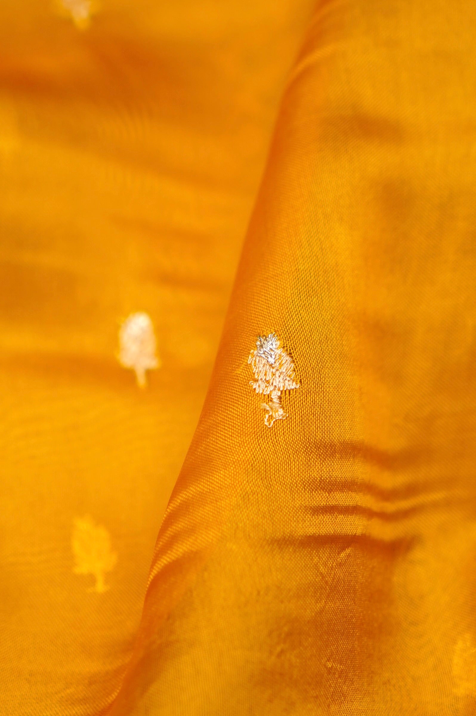 Designer Yellow Organza Suit