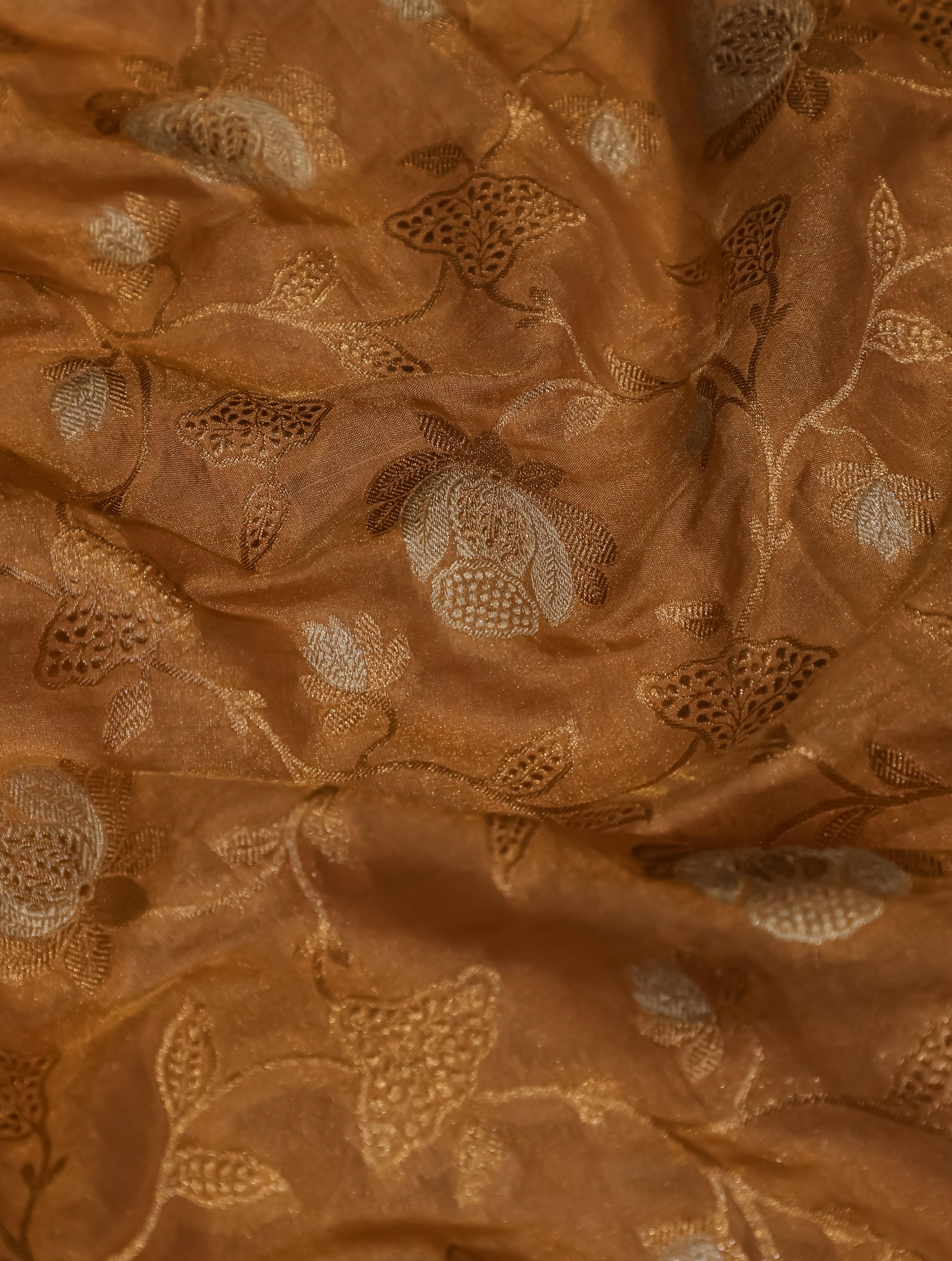 Designer Gold Katan Tissue Saree - Sumangal Ekam