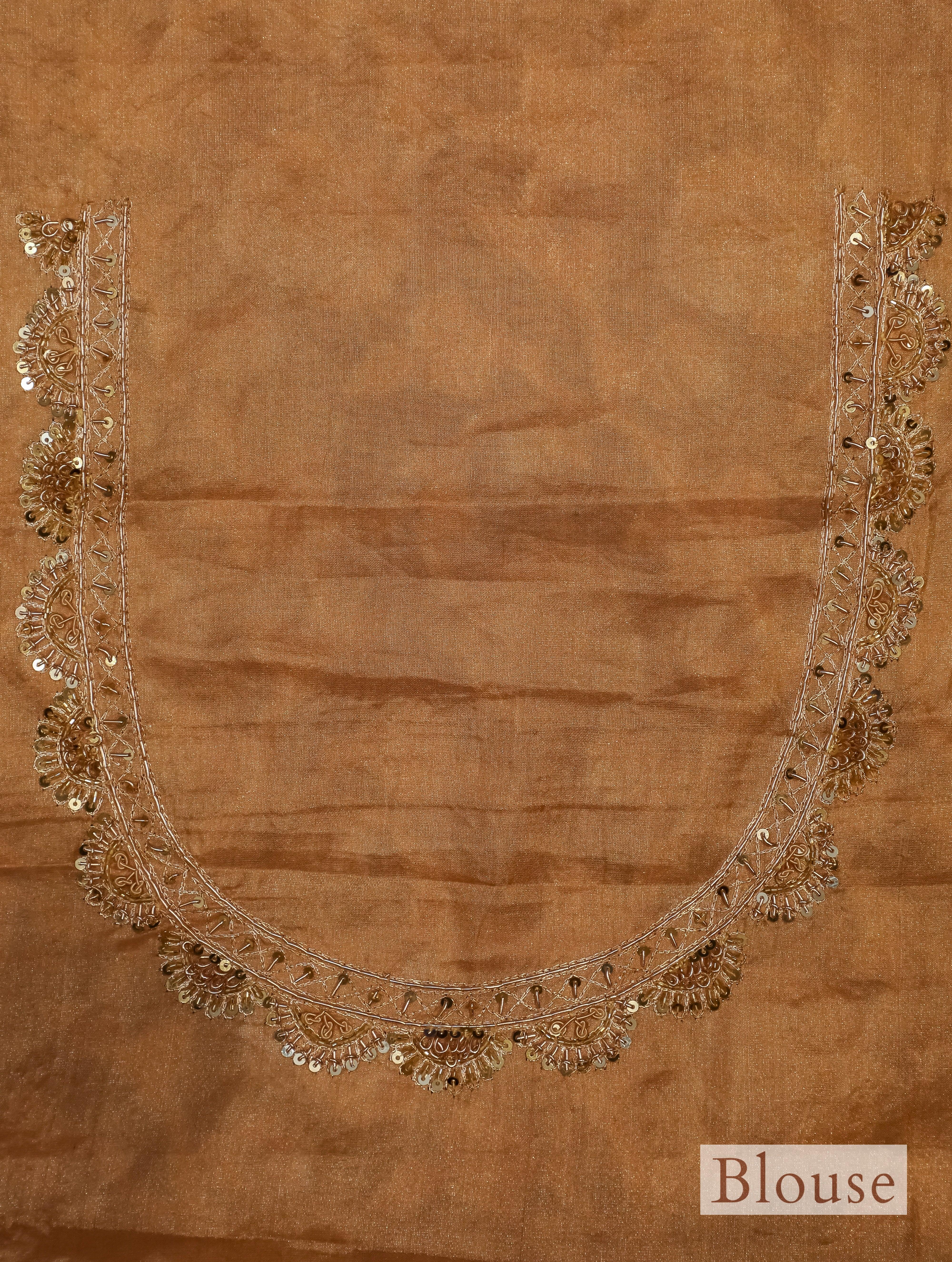 Designer Gold Katan Tissue Saree - Sumangal Ekam