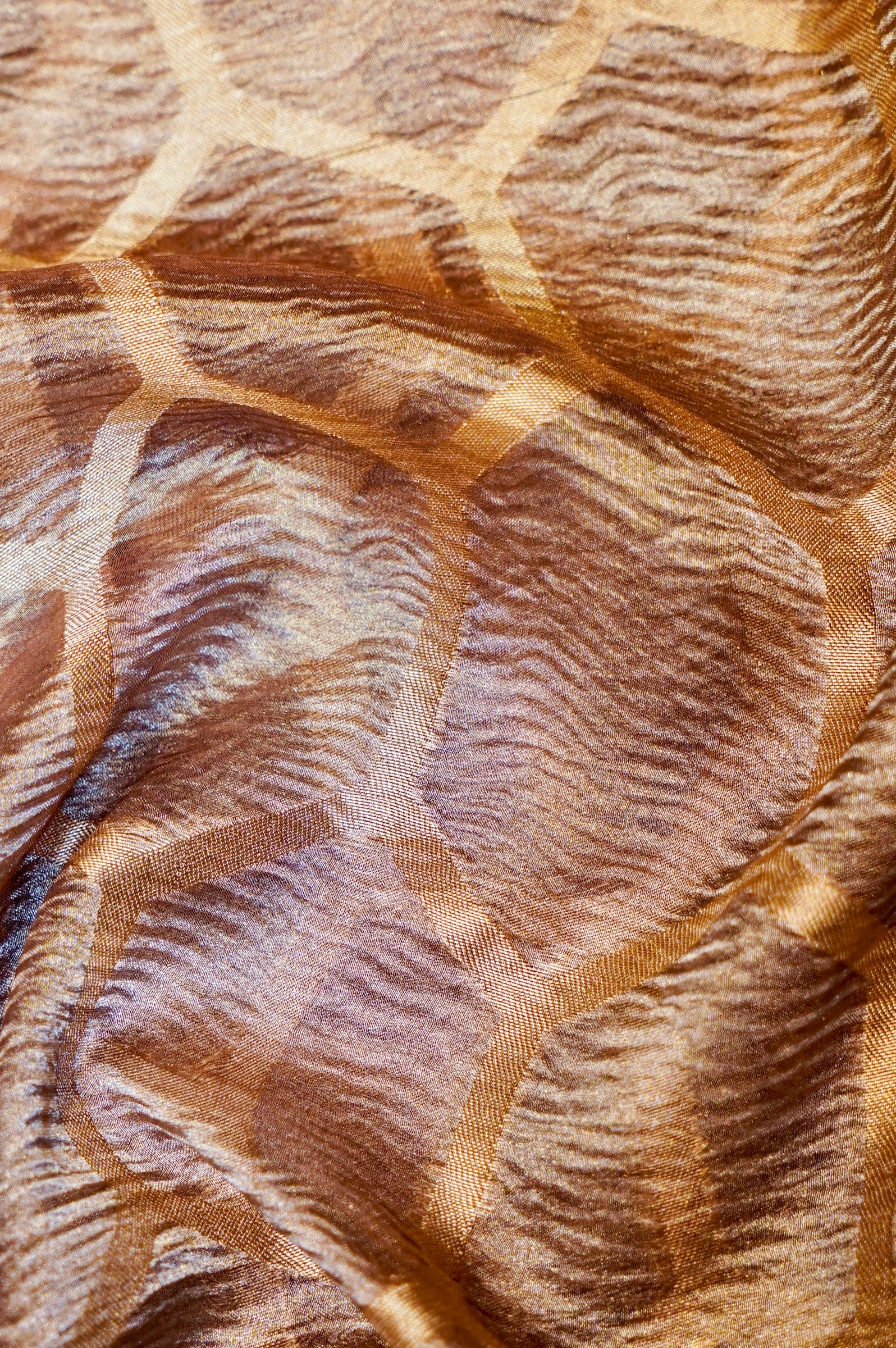 Designer Gold Tissue Silk Saree
