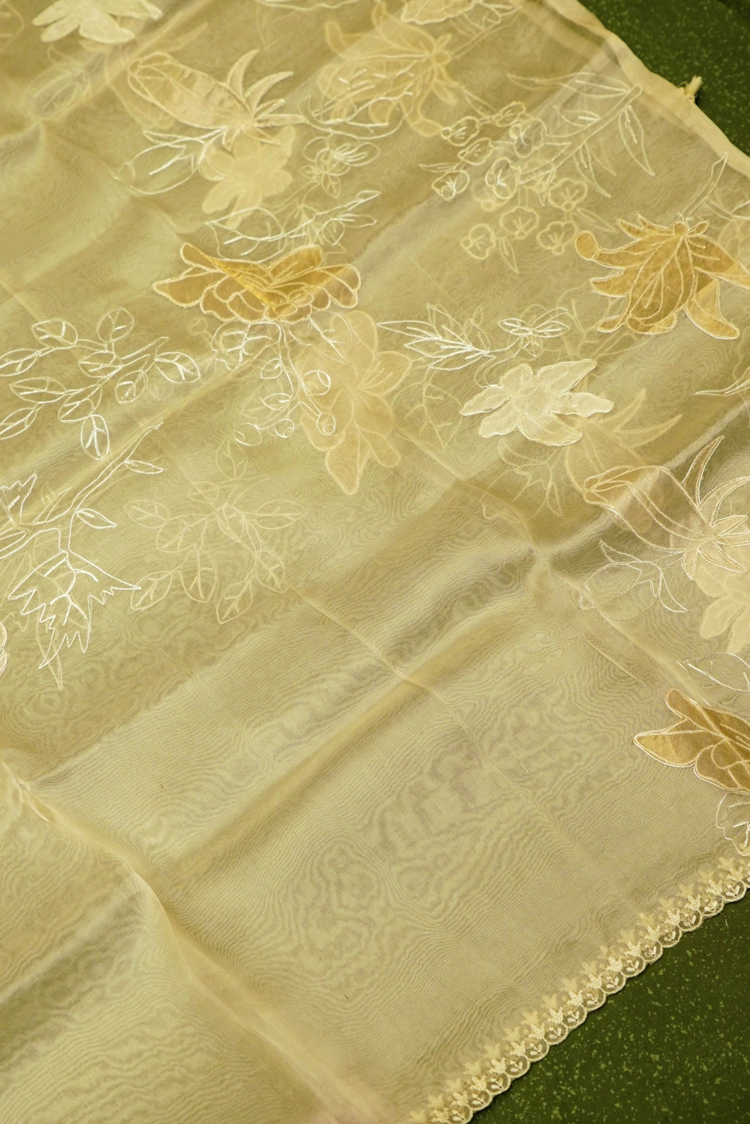 Designer Beige Organza Suit