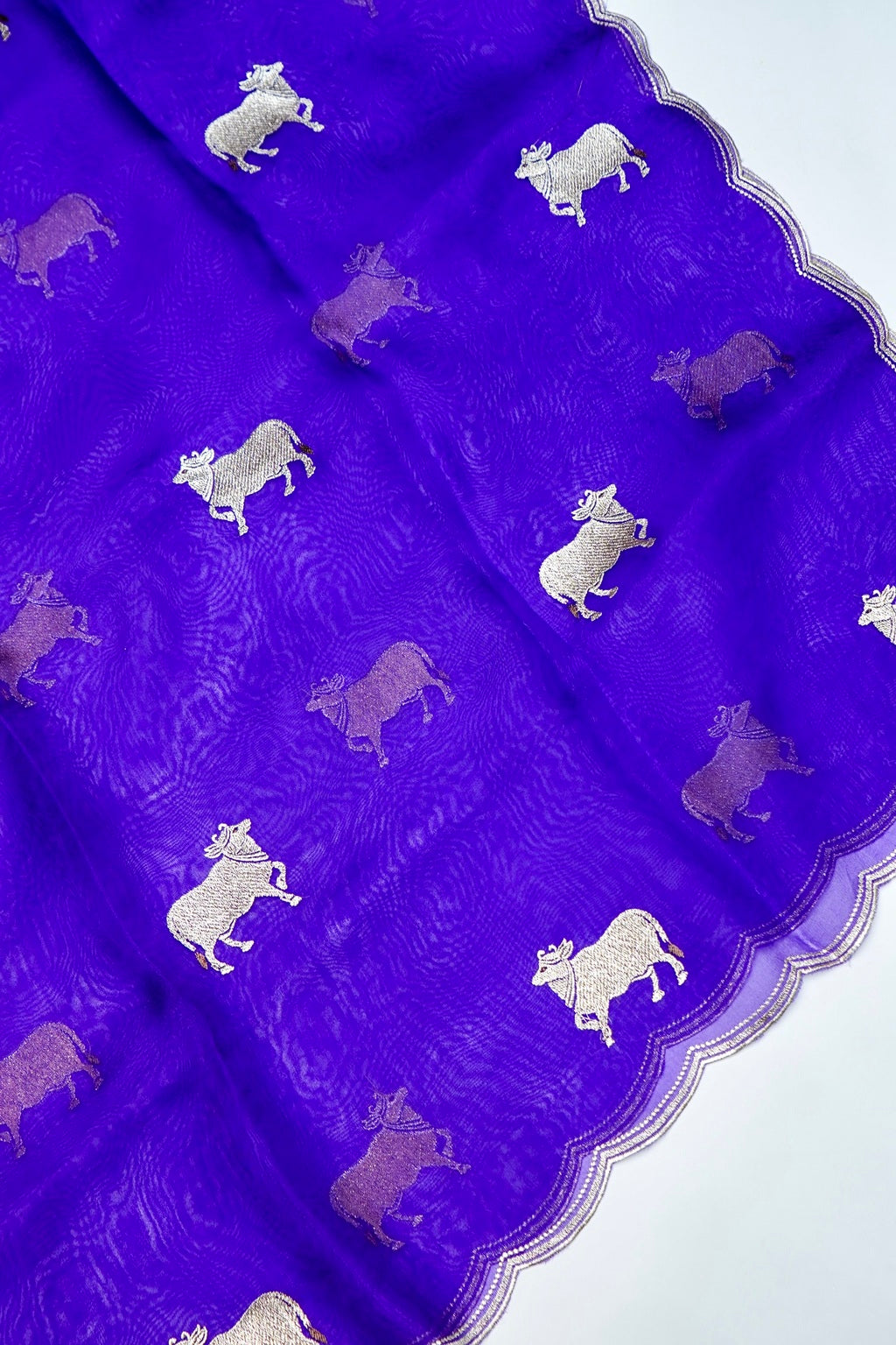 Designer  Royal Blue Organza Silk Suit