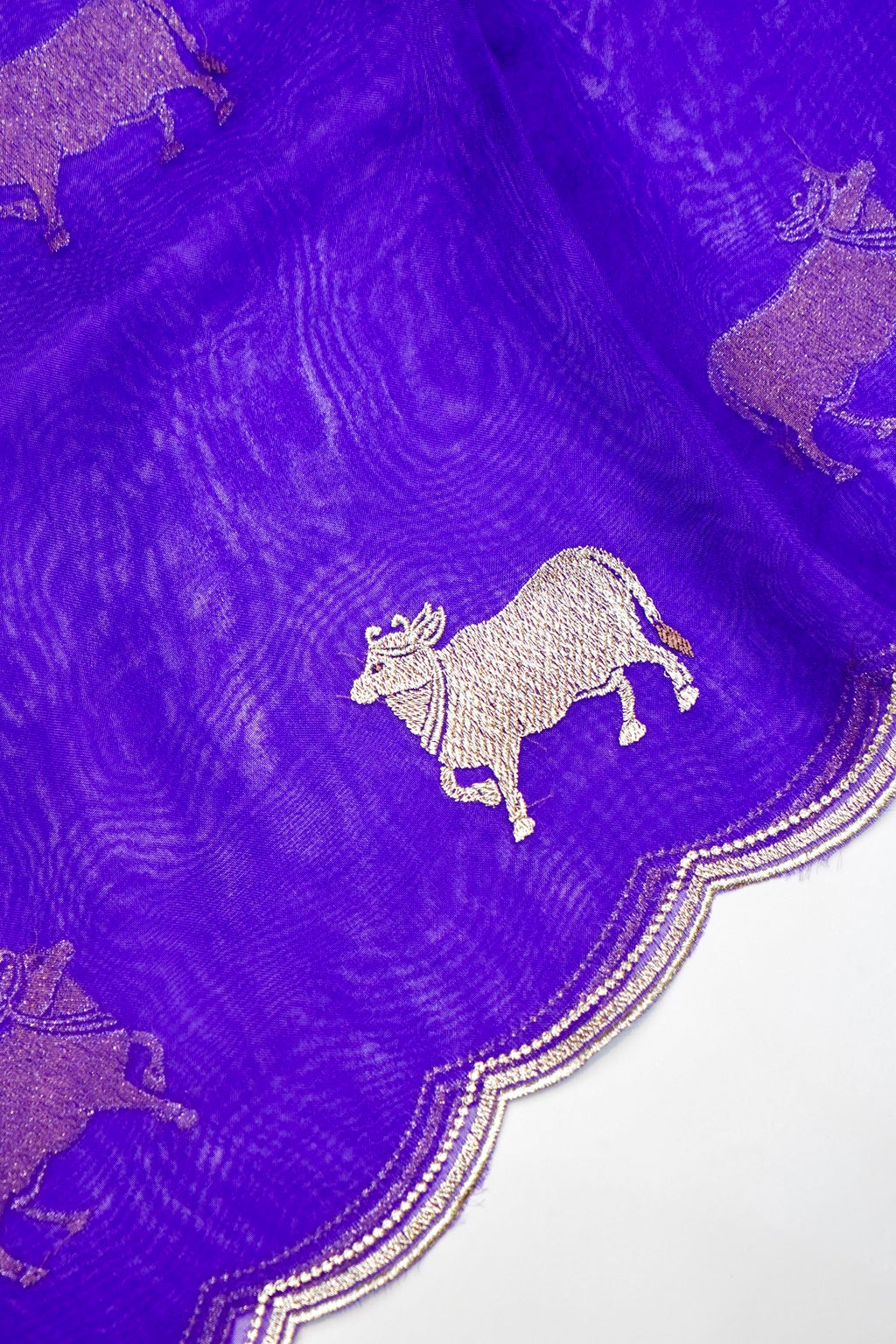 Designer  Royal Blue Organza Silk Suit