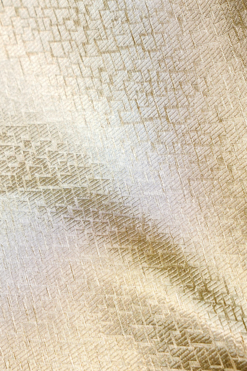 Designer Light Pishta Organza Silk Suit